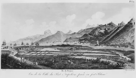 Isla de Francia (Mauricio), vista de Port-Napoleon
